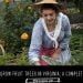 How To Grow Fruit Trees In Virginia : A Complete Guide