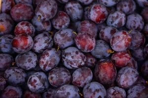 Fruit-Trees-In-Virginia-plums