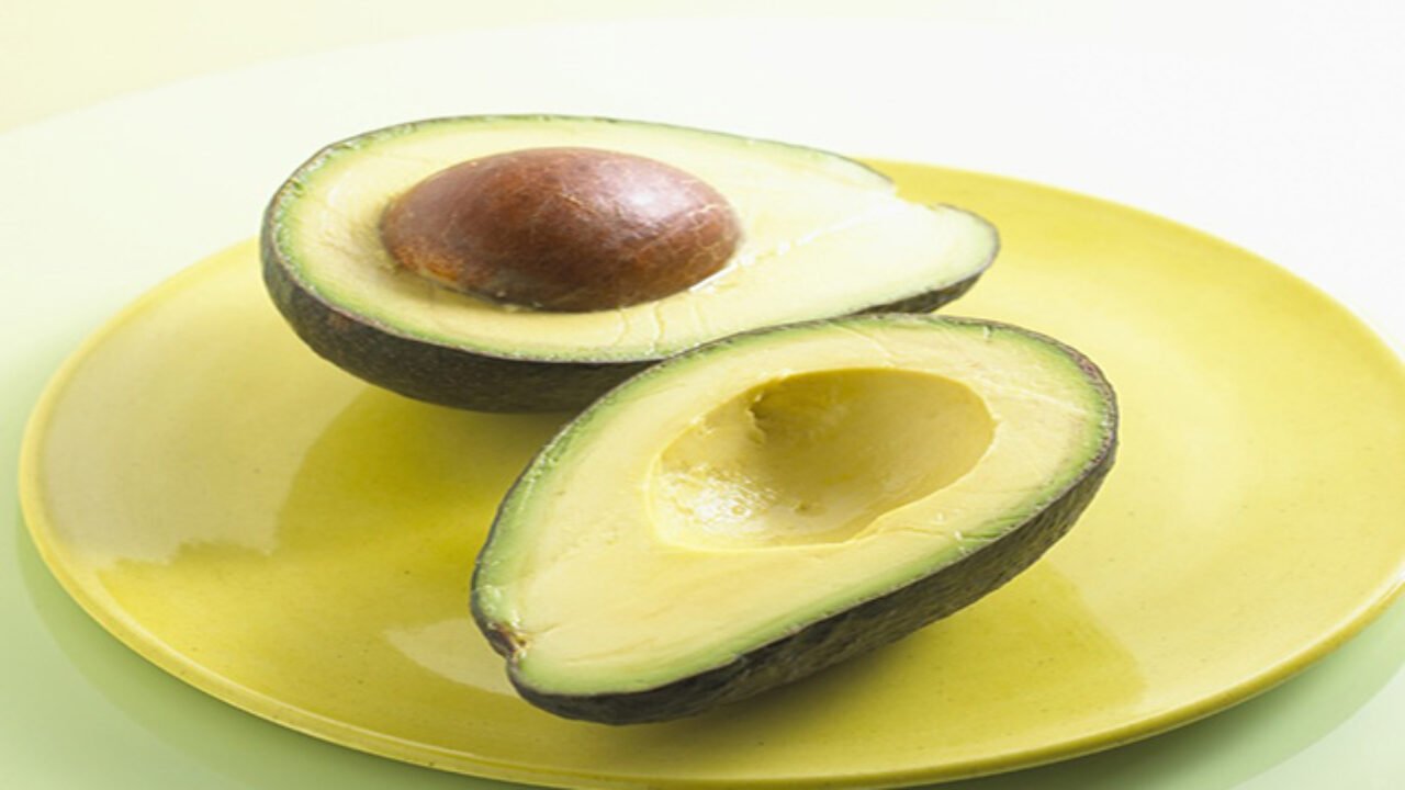 Can Dogs Eat Avocado Skin