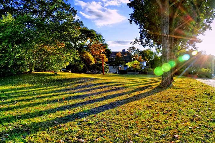 How to Mulch Leaves Without a Mower