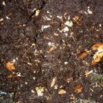 How-to-Store-Worm-Castings