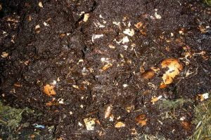 How-to-Store-Worm-Castings