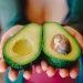 Murashige Avocados