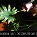 Philodendron Tahiti: The Complete Care Guide
