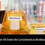 Can All Esters Be Considered as Biodiesel