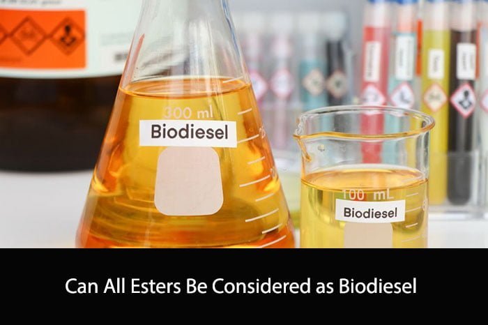 Can All Esters Be Considered as Biodiesel?