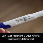 Can I Get Pregnant 2 Days After a Positive Ovulation Test
