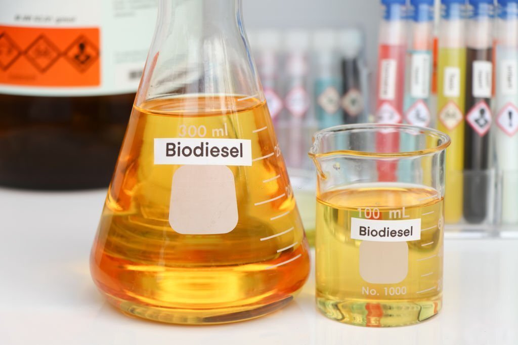 Can All Esters Be Considered as Biodiesel