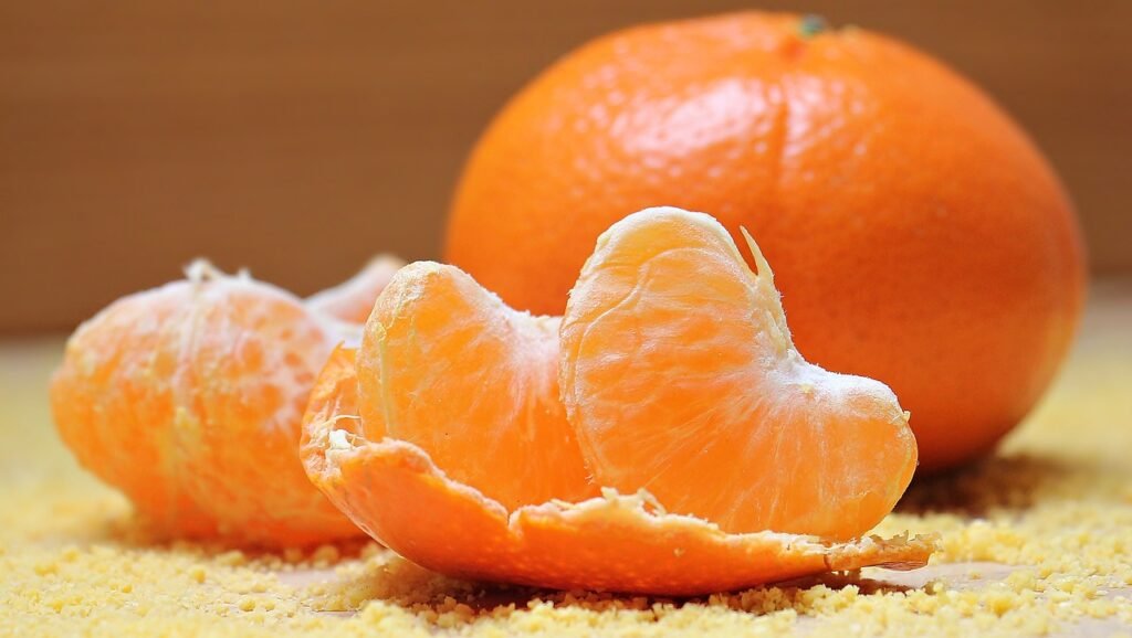 Can Guinea Pigs Eat Oranges