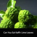 Can You Eat Kaffir Lime Leaves