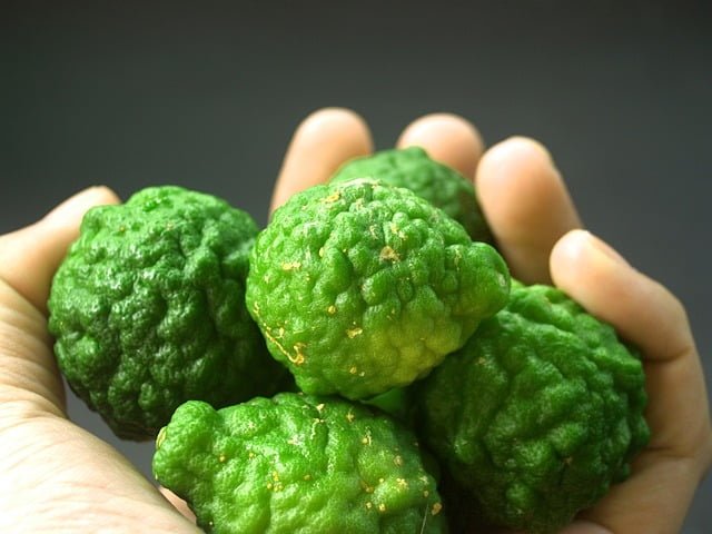 Can You Eat Kaffir Lime Leaves