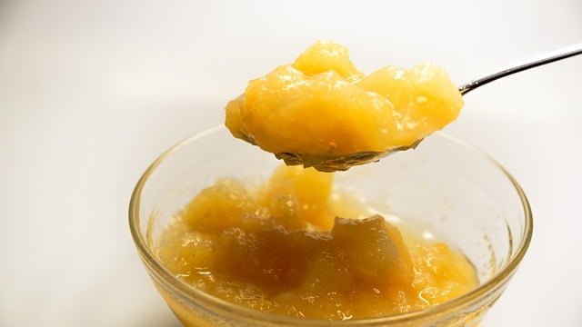 Can Bearded Dragons Eat Applesauce