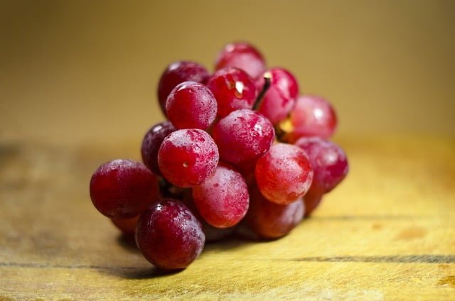can ferrets eat grapes