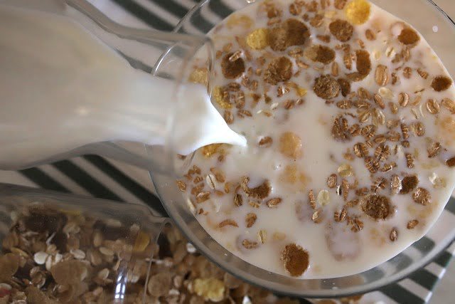 Can You Make Oat Milk in a Juicer