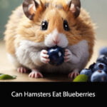 Can Hamsters Eat Blueberries