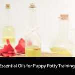Essential Oils for Puppy Potty Training