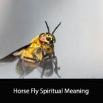 Horse Fly Spiritual Meaning