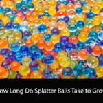 How Long Do Splatter Balls Take to Grow