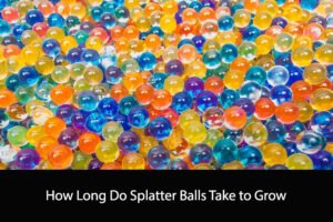 How Long Do Splatter Balls Take to Grow