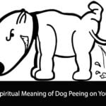 Spiritual Meaning of Dog Peeing on You