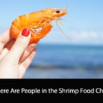 Where Are People in the Shrimp Food Chain