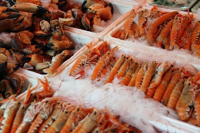 Can You Refreeze Shrimp