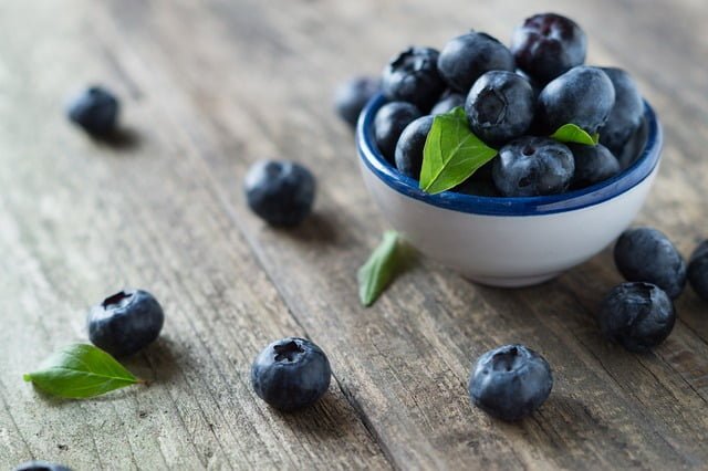 Can Hamsters Eat Blueberries