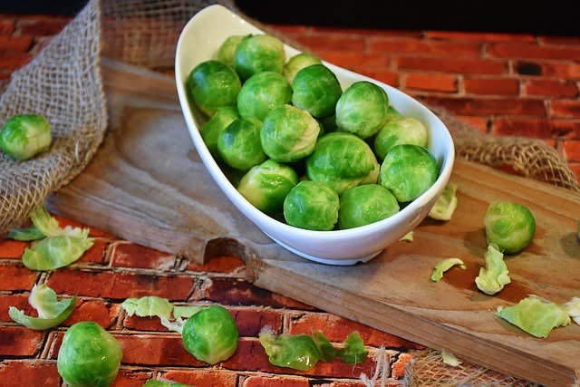 Can Rats Eat Brussels Sprouts