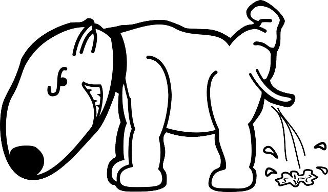 Spiritual Meaning of Dog Peeing on You