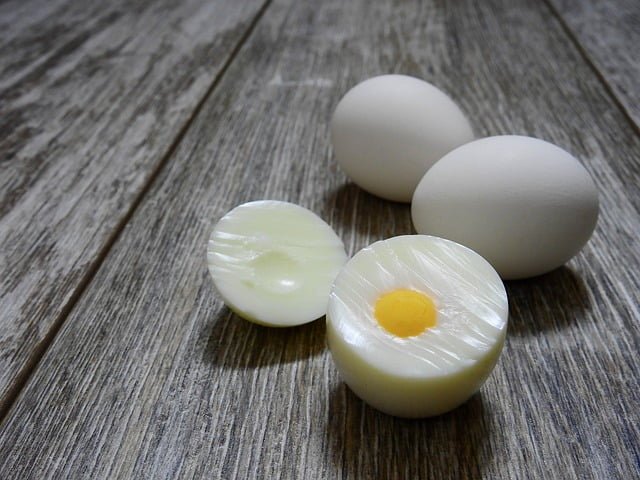 Can Budgies Eat Boiled Eggs