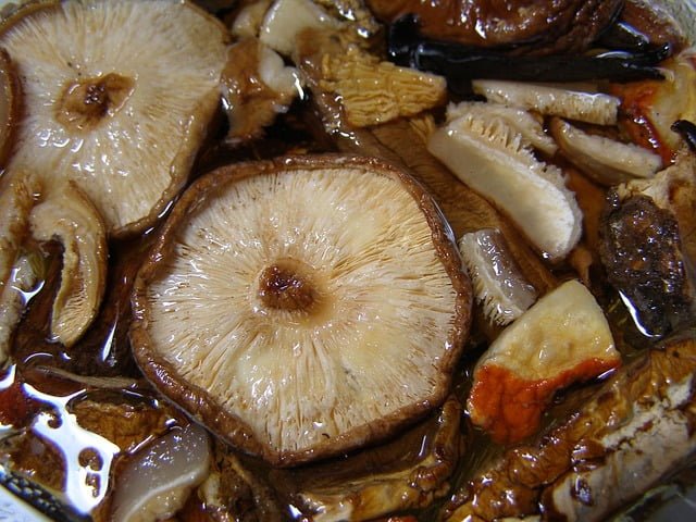 How Long do Shiitake Mushrooms Last