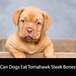 Can Dogs Eat Tomahawk Steak Bones