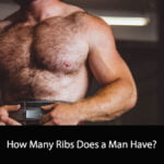 How Many Ribs Does a Man Have