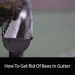 How To Get Rid Of Bees In Gutter