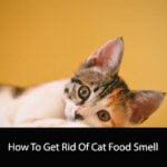 How To Get Rid Of Cat Food Smell