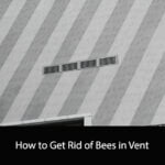 How to Get Rid of Bees in Vent