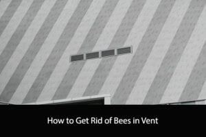 How to Get Rid of Bees in Vent
