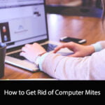 How to Get Rid of Computer Mites