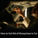 How to Get Rid of Mosquitoes in Car