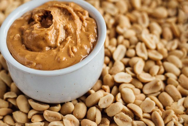 Can Dogs Eat PB2