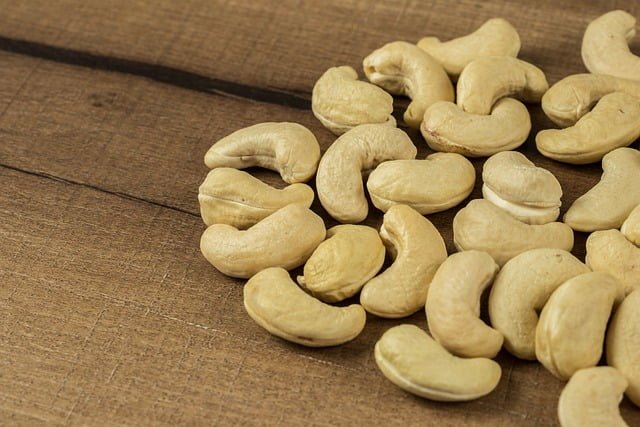 Can Rats Eat Cashews
