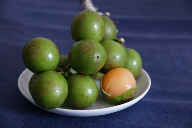 Can Dogs Eat Quenepas