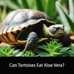 Can Tortoises Eat Aloe Vera