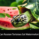 Can Russian Tortoises Eat Watermelon