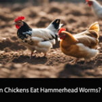 Can Chickens Eat Hammerhead Worms