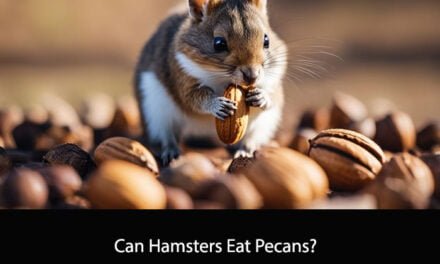Can Hamsters Eat Pecans?