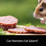 Can Hamsters Eat Salami