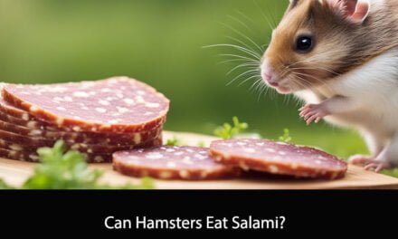 Can Hamsters Eat Salami?