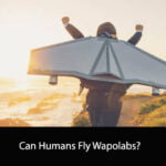 Can Humans Fly Wapolabs