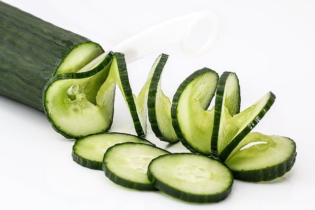 Can Chinchillas Eat Cucumbers